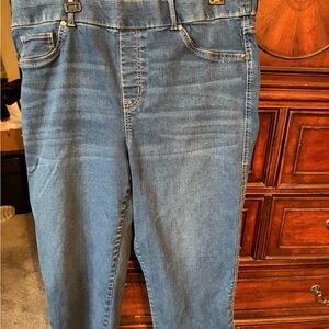 Gloria Vanderbilt Blue Women Capri Jeans